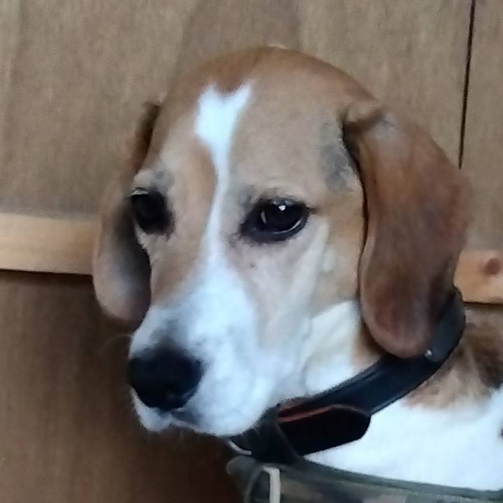 5e0298c8 e018 4401 b2d5 d2c553b101fc 1696856095870