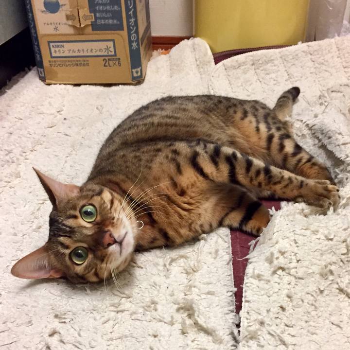 5e02e7fe 7291 49f9 9c03 f1f938cfe185 1508370369330