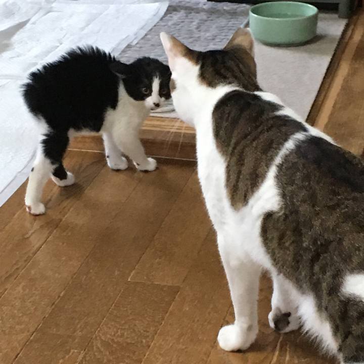 5e02f645 2005 4f6d 8fcf 3649f8664a62 1625734967152