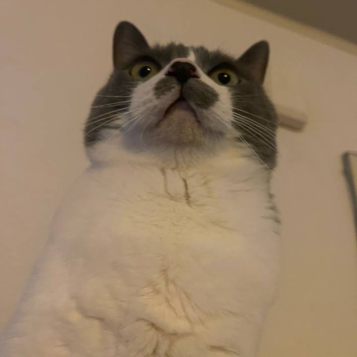 5e030c2d 3d1a 4a35 b225 4e2fec6d416b 1711586803637