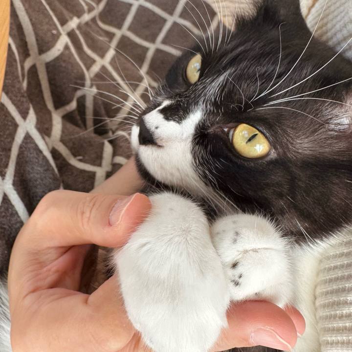 5e031f6a 6105 4242 8fad 3f626db4cc6b 1765325848794