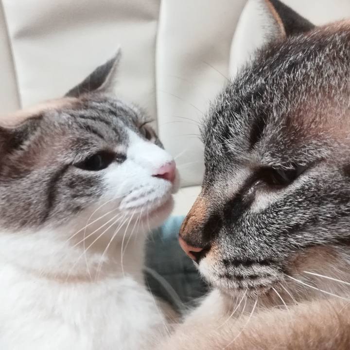 5e034075 40ce 41ff a37c cfdd47dd4610 1593088183672