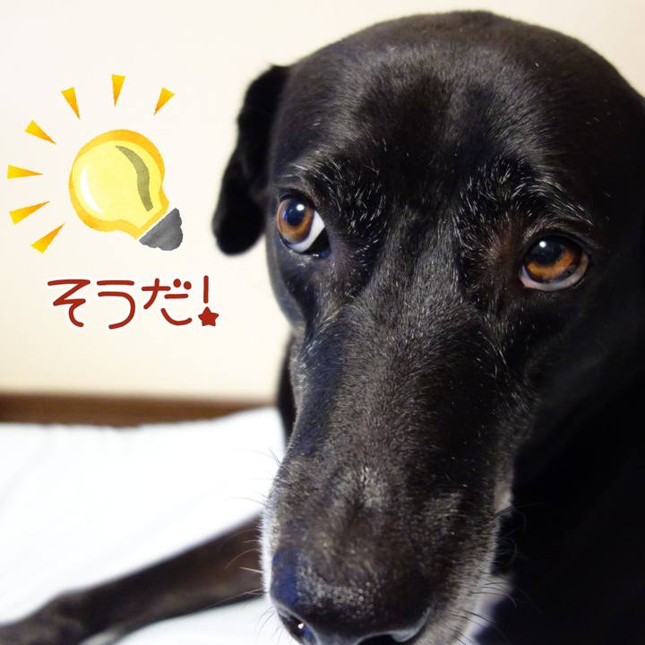 5e0365bc 1ec1 449d 9fd2 f51a11967dfb 1723420560688