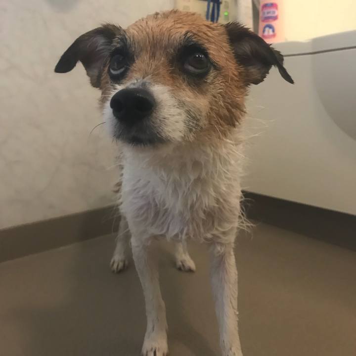 5e037676 08e9 4de2 a52f f89b5e3d64ca 1524272004040