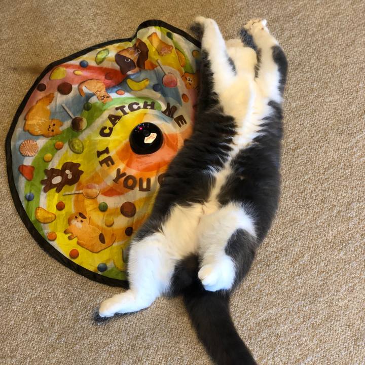 5e03a8c5 ffa2 4ea4 9586 09c99e3a058c 1607747436311