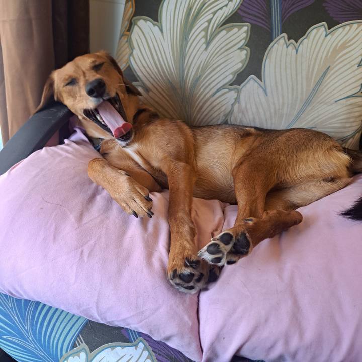 5e03e8c3 9ffd 4518 8680 4cd324ee6b00 1764037519959