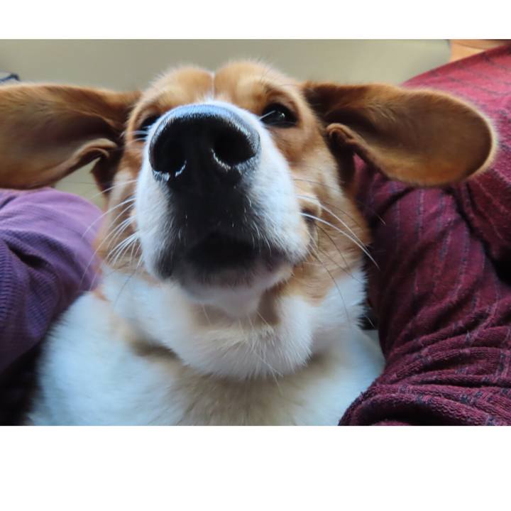 5e047559 c0d7 4017 89f4 0e3558f3d7b3 1637412369259