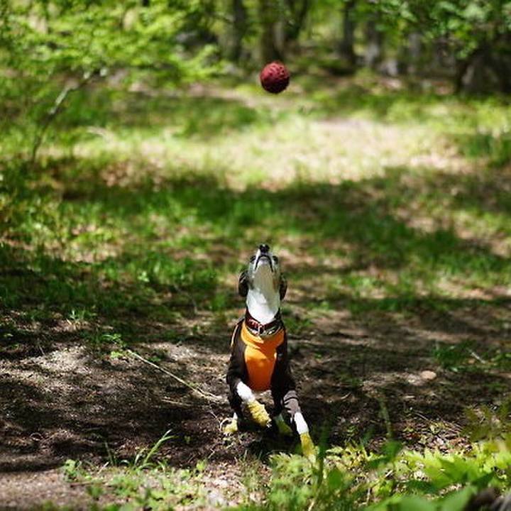 5e04ad01 a93d 4f82 986d 73512049aa81 1527340568866