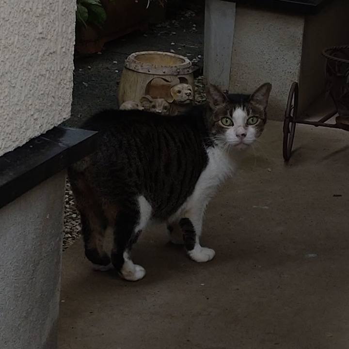 5e04b57d bd7b 435e 8efb 42d58b0649eb 1663645836034