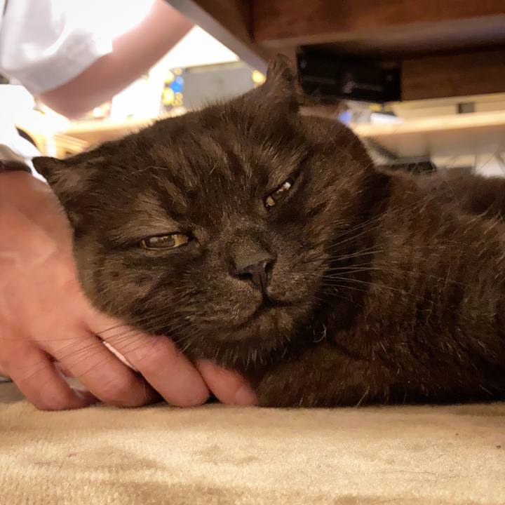 5e04d93c a8b2 4f15 9804 6ca3e57269a2 1622911008271