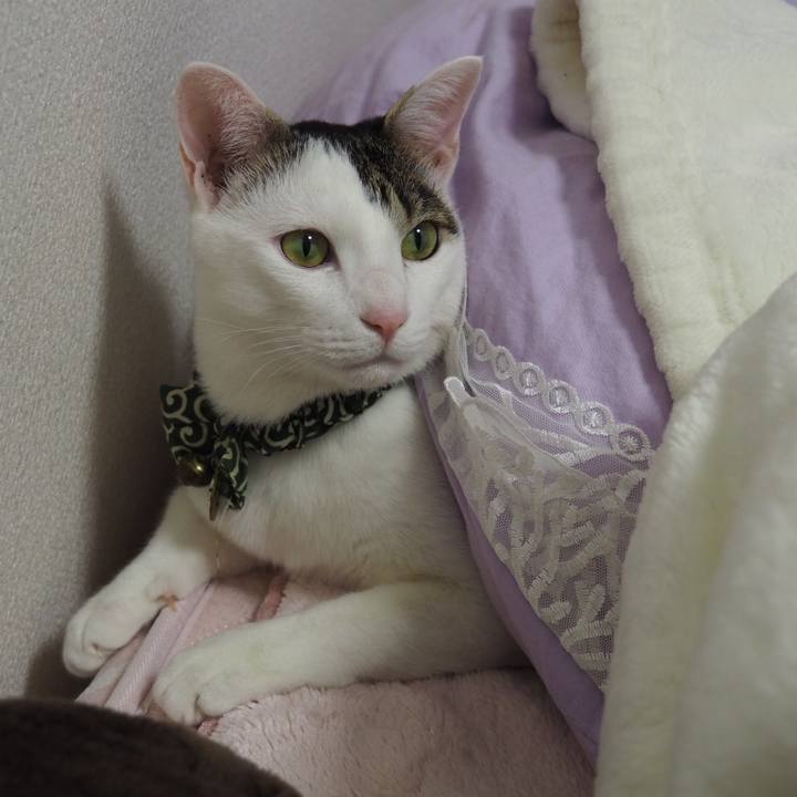 5e04e0e3 2bcd 4152 9aab ece60bd58a1b 1542719722678