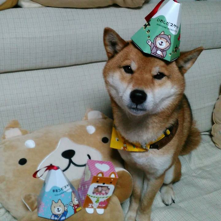 5e04ffaa d6f9 49c8 9a73 0f1d165fb5b0 1518600354664