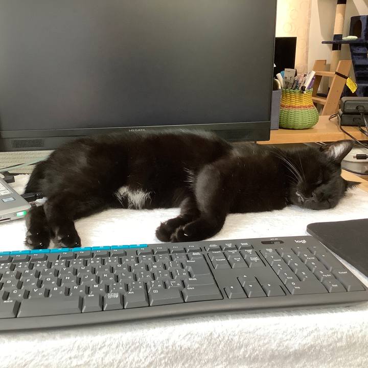 5e053317 a137 440a 97d9 05705889a42d 1602629317731