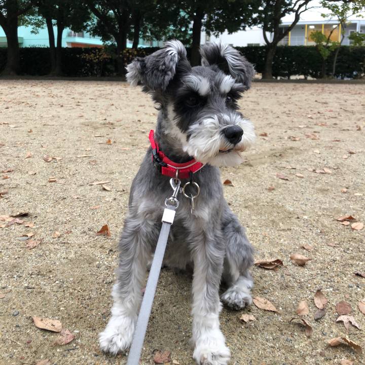 5e05aa26 b129 40e9 8ec2 c845b33c6e52 1669118069111