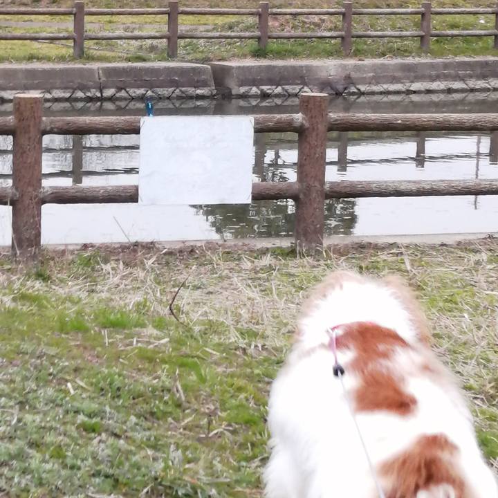 5e05b9c4 1e9e 4cc6 8dad 603f8206a29c 1582880141342