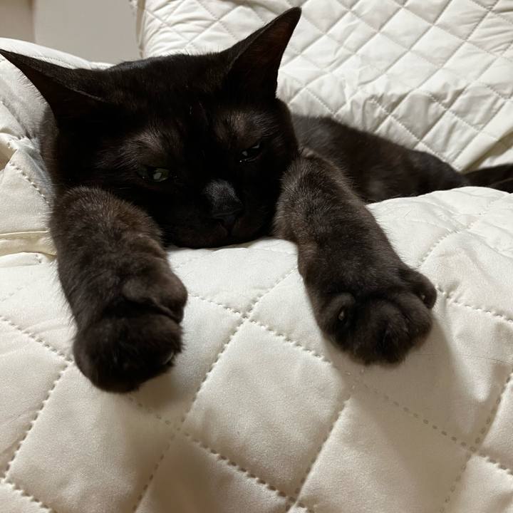 5e05bca3 a7f1 4157 96e1 a13d069b8a20 1722514595843