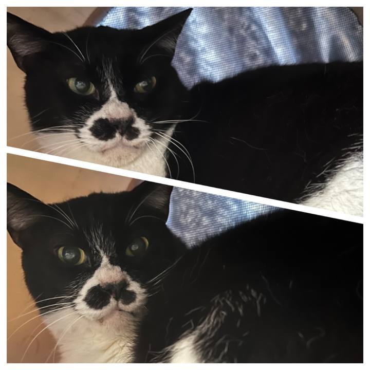 5e05bd3d 5bce 4d40 98fb 339964882e7b 1684043036673