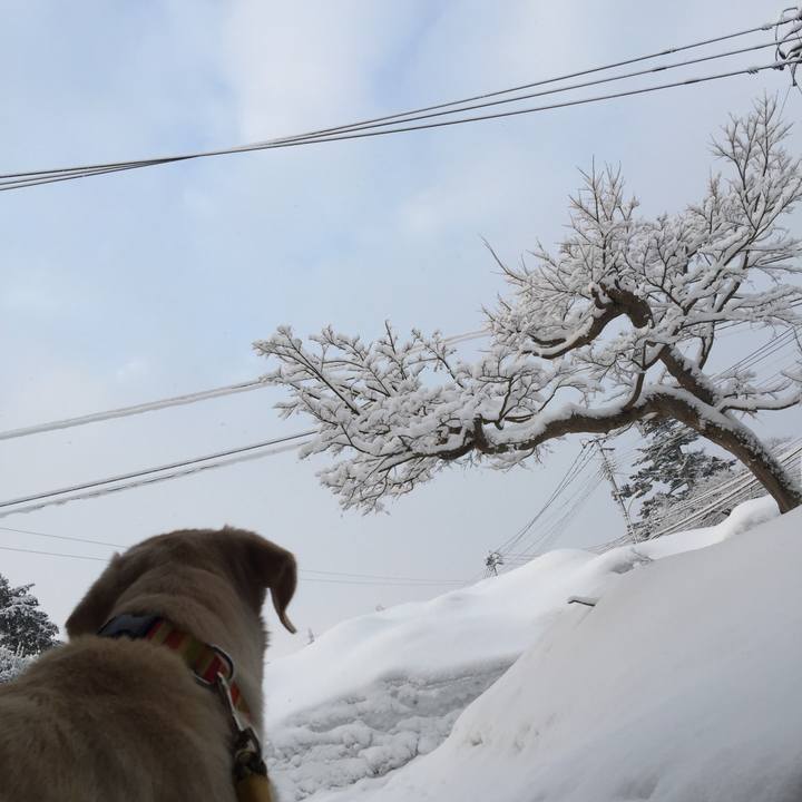 5e05d2ec 78a3 47cd bd98 4ca839802b4f 1580818148369