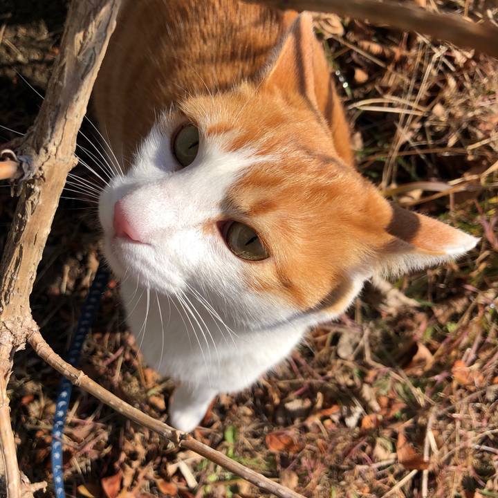 5e05e14d 79f3 4cf6 b637 49fb9ea731d1 1550134531056