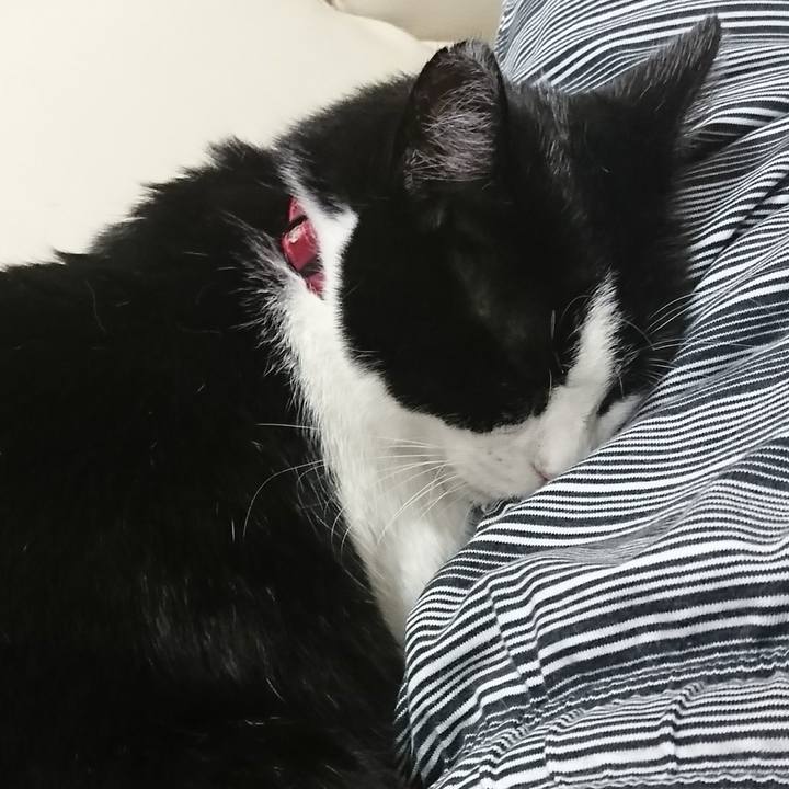 5e05ed5f 3fdf 436c a1a0 9156dd9d18af 1569759785364