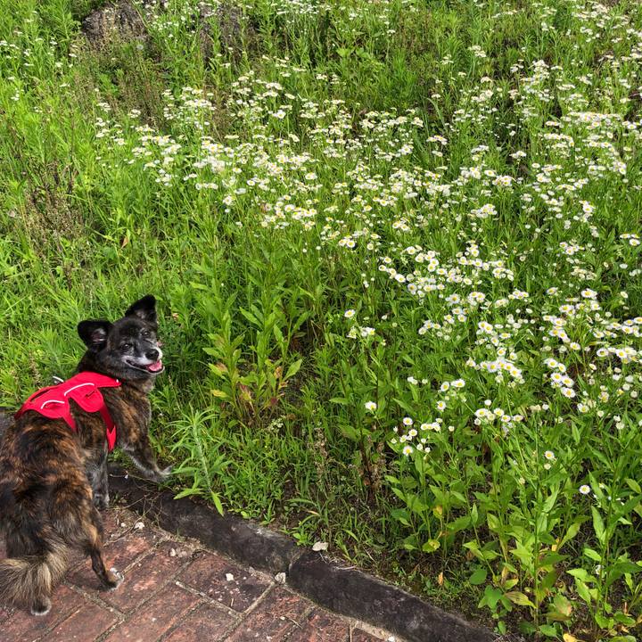 5e06109e acd1 4183 83e3 6ace8b129efa 1629284015353