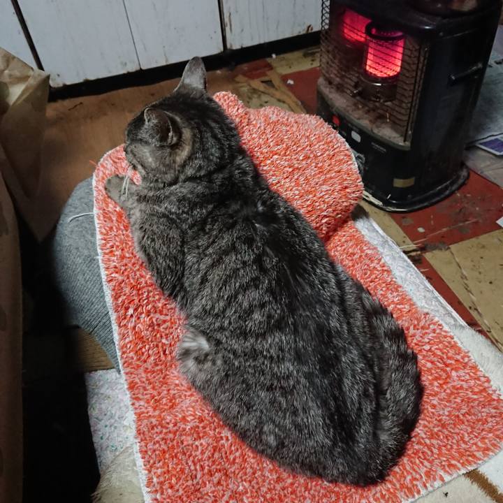 5e06214c 33fe 47d5 8509 94c9a354ca5b 1580987310961