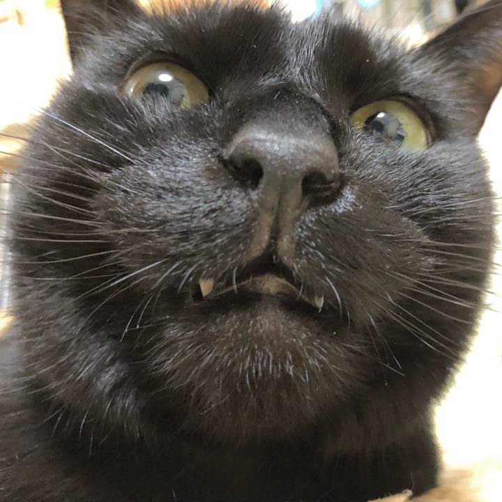 5e063c0a 7c35 4343 b362 010be56b5cc2 1614771467642