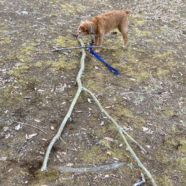 5e0656a9 208a 432e 8ae6 d508a5d68a3f 1646039604552