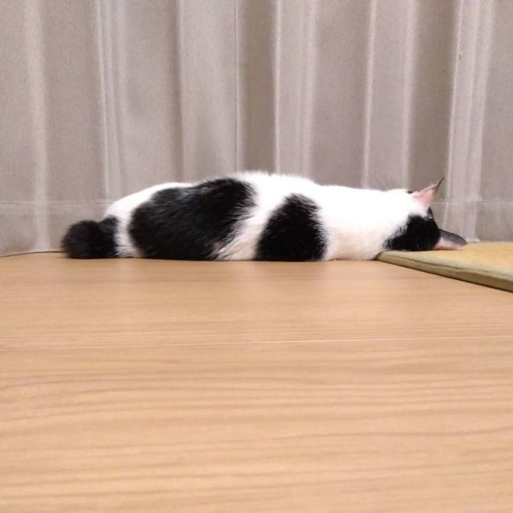 5e0664e7 ea4c 4519 845c d2ae96e913b9 1533297861790