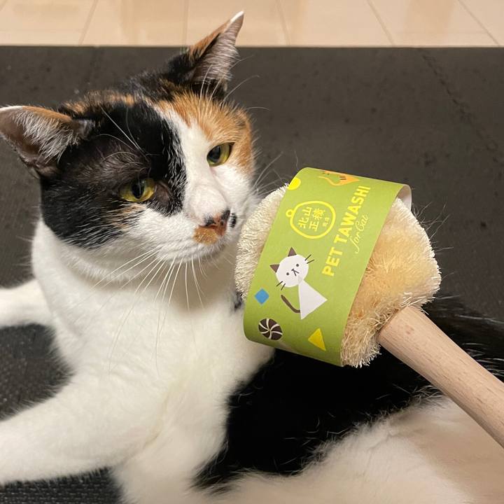 5e067ac0 9cef 48c1 80f4 3aa2df851195 1632057359440