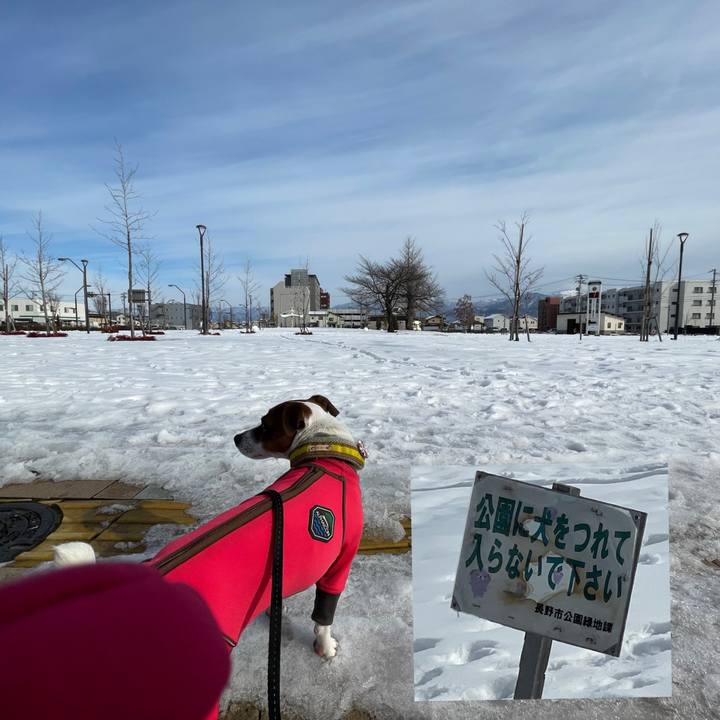 5e0695df 9d3d 4cad 8a2f 30eb22d506f6 1643091184086