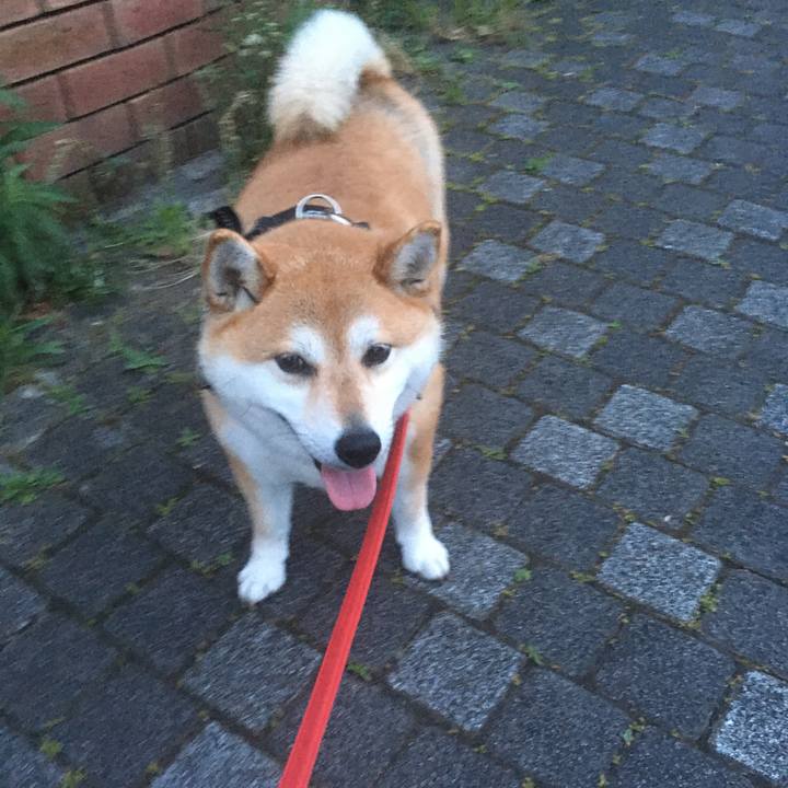 5e06b2f8 fbf9 4cbc ac9c 712afc9b8cb3 1591092816247