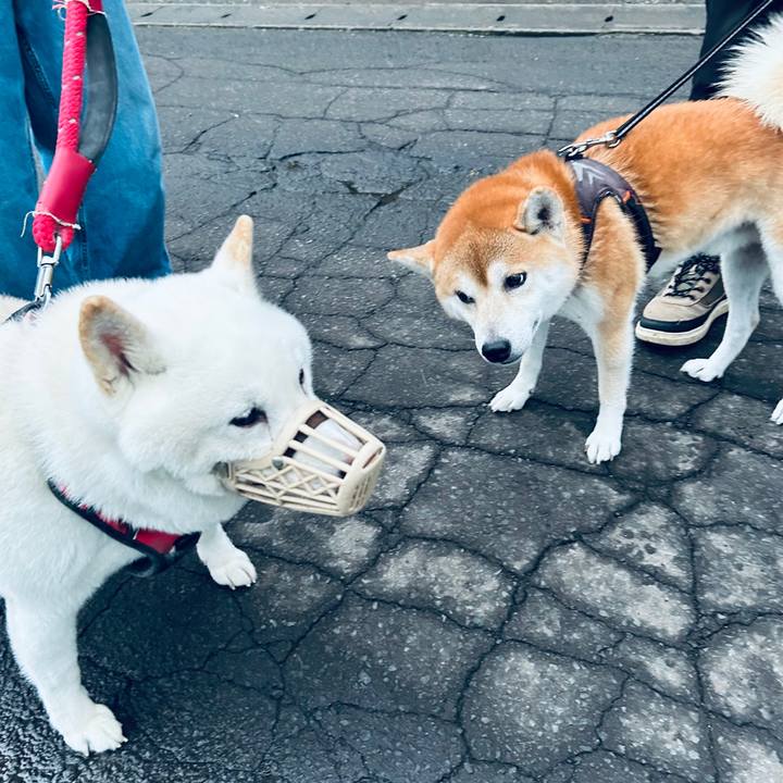 5e06bf18 1c38 47d2 a826 17a892e475ef 1760478195972