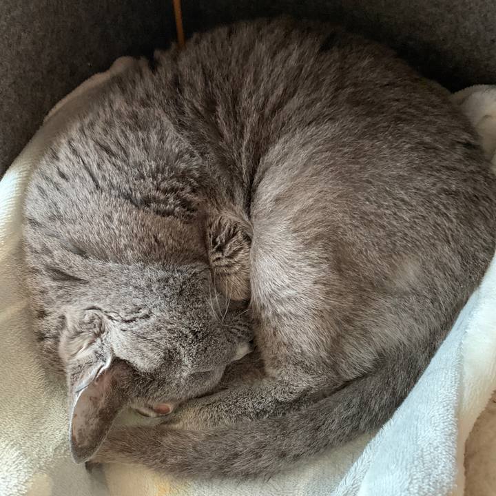 5e06f94c b1b9 4519 a2d6 5379fd43d9e1 1584573653437