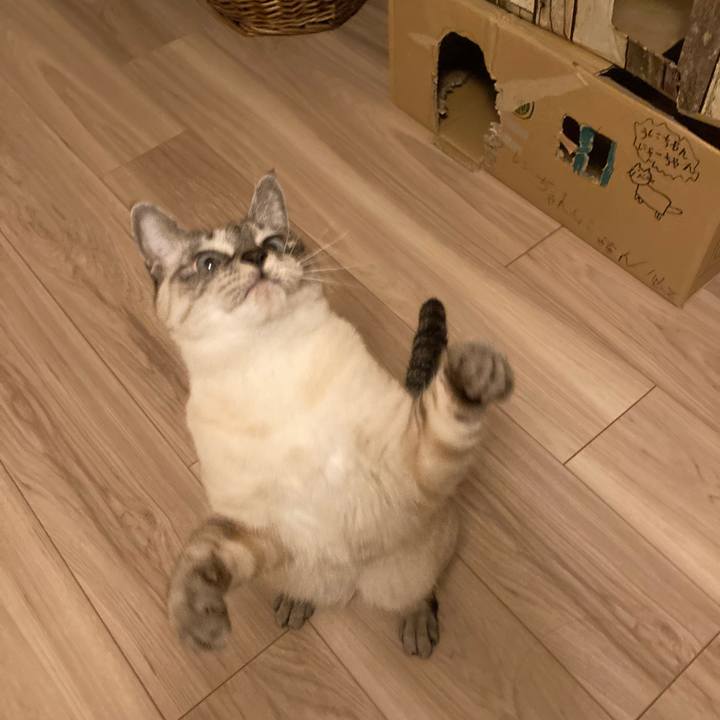 5e070520 7ca4 4d45 b643 59880da13fac 1640910100374