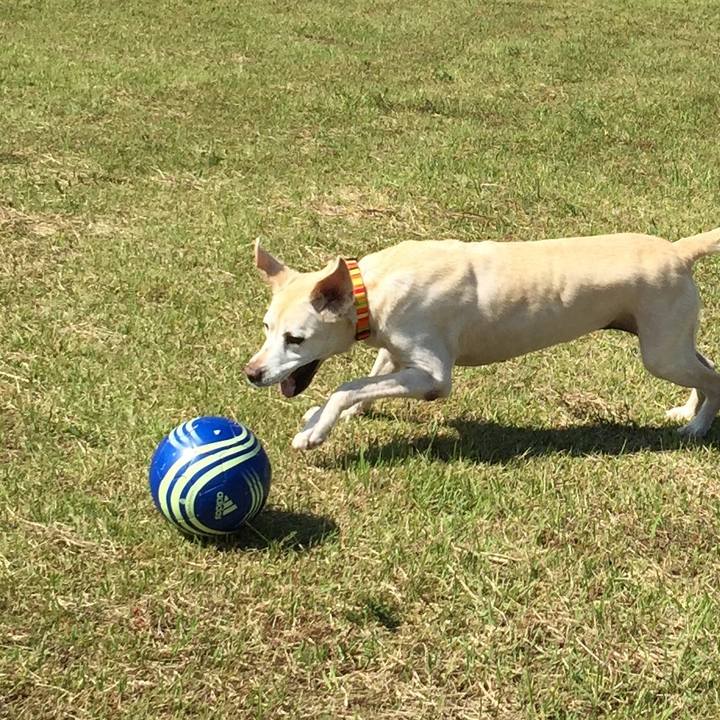 5e0708fd 6897 4cd9 9778 24868ce00c15 1554461105356