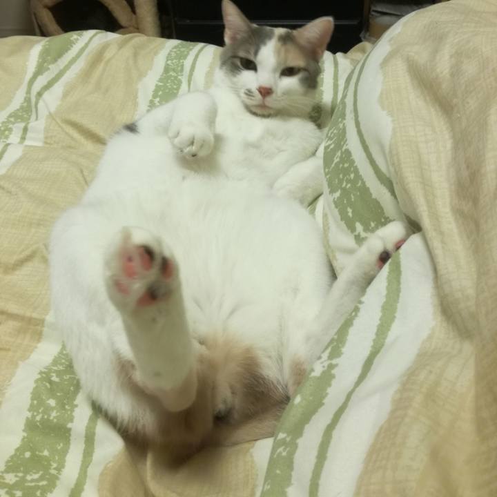 5e070d87 0ae7 432e bb9e 699ed1eff30c 1549881949886