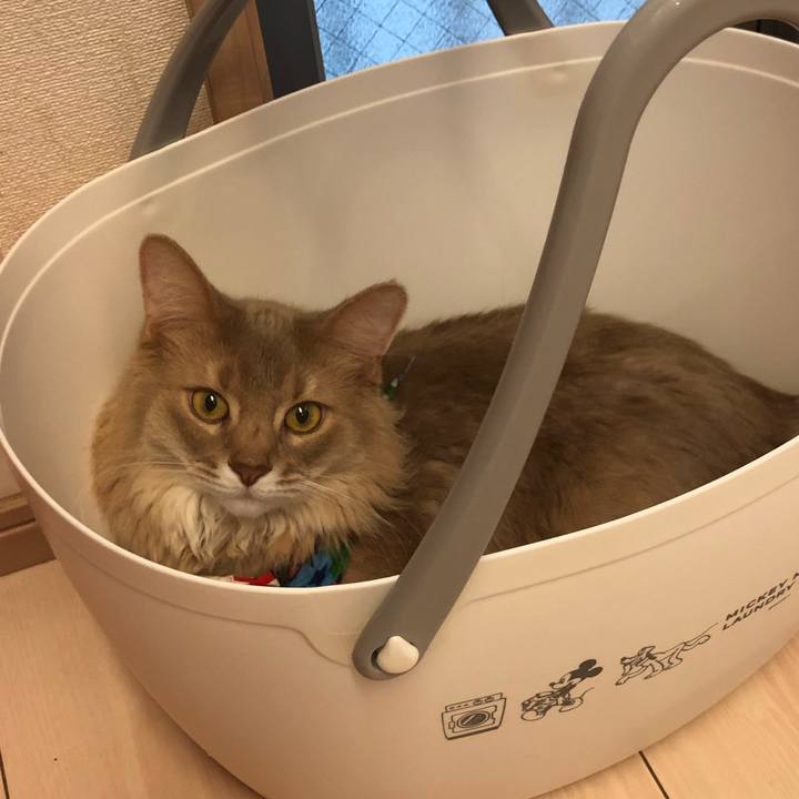 5e071c5a 970b 4ffd 879e 3f542512cd5e 1650157475542