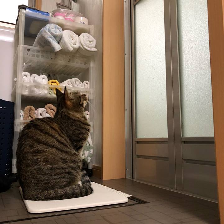 5e07865f 098c 49db 95e9 ac05a8440ce3 1522202680198