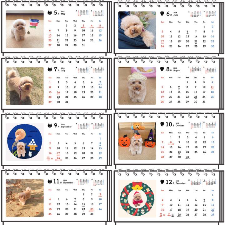 5e0787df 4c7e 4ca4 851e fb4ce2fdc73c 1510493427740