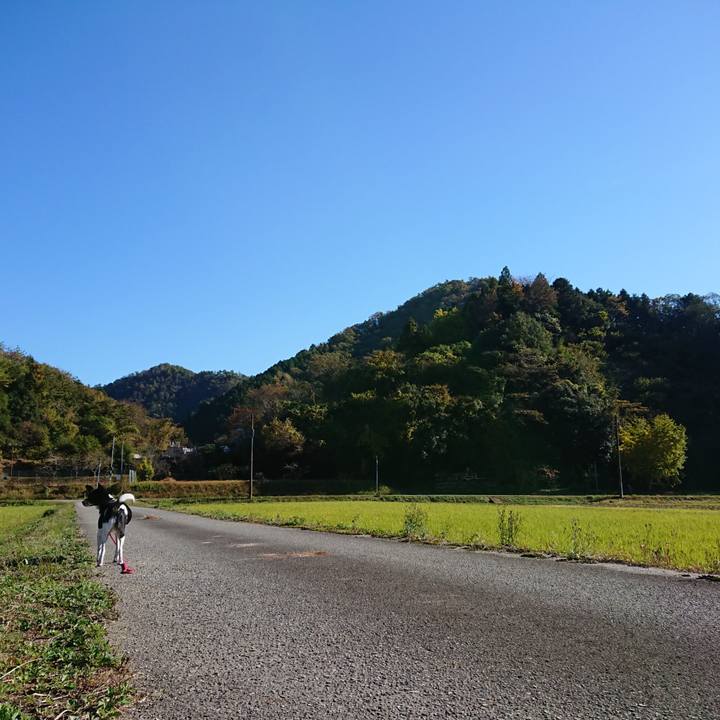 5e07bca1 e1cd 4f11 bc84 25bab02038a3 1636766858601