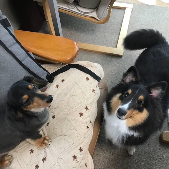 5e07c701 7391 4edd 82f2 f9f91eb0457c 1531865474909