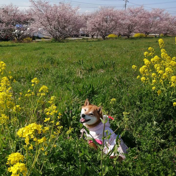 5e07cd5b b8dd 4158 955f a183c1323142 1679490258321