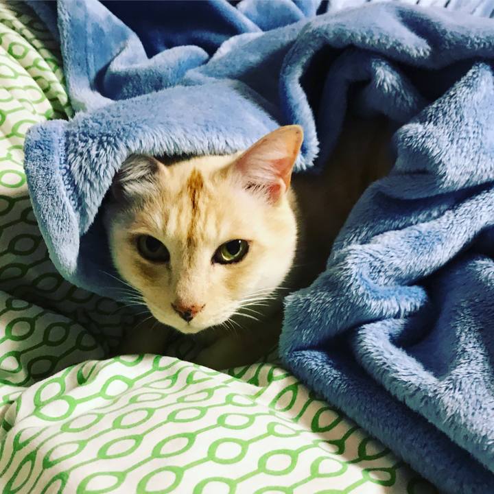 5e07d784 9358 4e37 ab79 0089fe98cac2 1607863958888