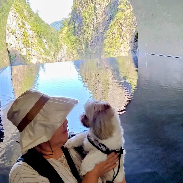 5e07d91e 7263 48d2 bcfd ff682c2655b2 1728225923145