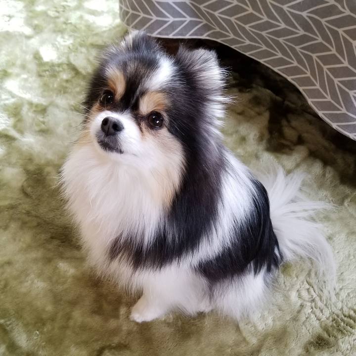 5e07dd27 babb 4dc0 9f22 05397048ff9a 1576369341484