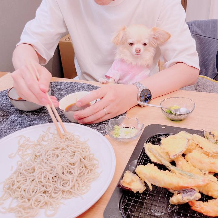 5e08519d decc 42d7 ab39 e62211fec96c 1683274946651