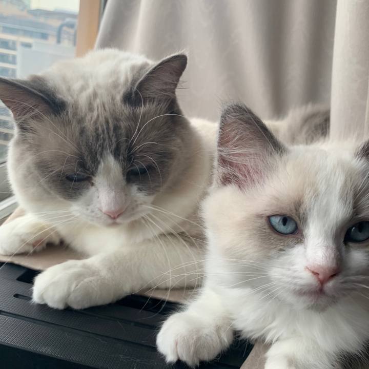 5e08a564 b0fc 4579 bdf2 f8a5540656d9 1644725493040