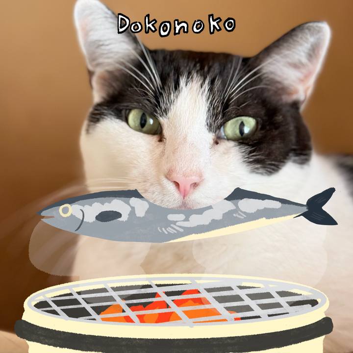 5e08e2d4 4a36 46b8 b9ec 23075d20ea17 1761185275473