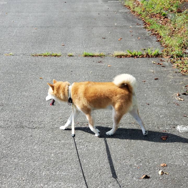 5e091c63 579f 43a1 85f6 ba758749dbe4 1661905408631